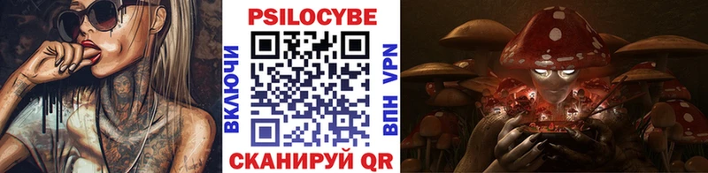 Галлюциногенные грибы Psilocybine cubensis  блэк спрут вход  Губаха 