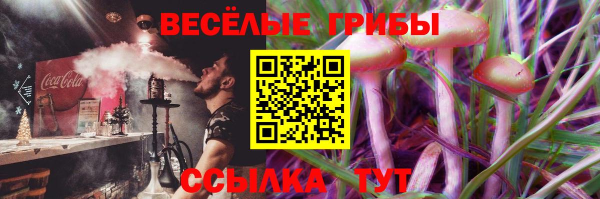 Галлюциногенные грибы Psilocybine cubensis  Вход с VPN  Галлюциногенные грибы Psilocybine cubensis  Губаха 